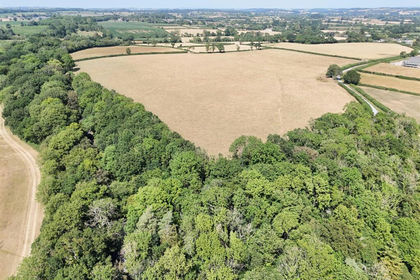 1.5 acres of Woodland for sale in Lillington