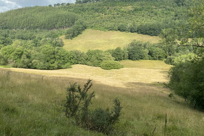 32 acres of Agricultural Land for sale in Llanfair-ar-y-bryn