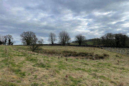 10.8 acres of Woodland for sale in Hagworthingham