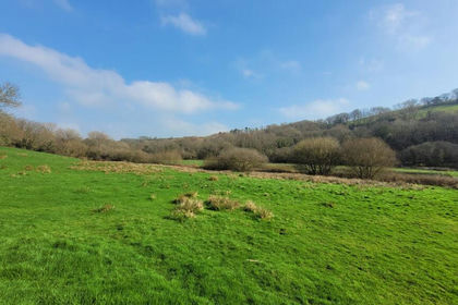 11.6 acres of Agricultural Land for sale in St. Stephen-in-Brannel