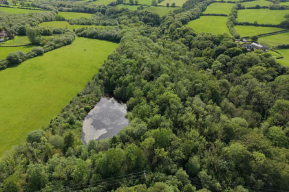 13.4 acres of Woodland for sale in Brymbo