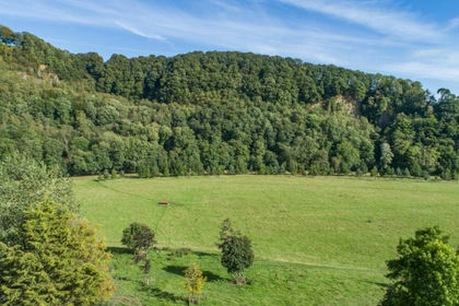 24.1 acres of Recreational Land for sale in Bampton