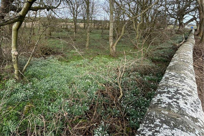 Recreational Land for sale in Aberdeenshire North and Moray East