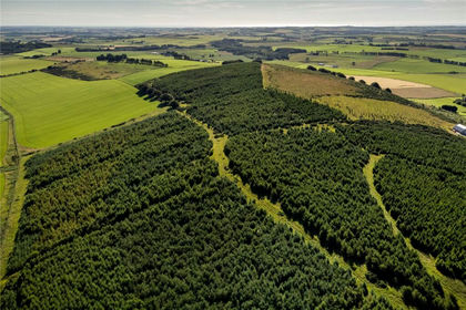 68.1 acres of Agricultural Land for sale in Gordon and Buchan