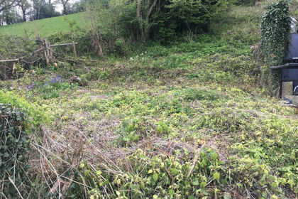 Development Land for sale in Welshpool