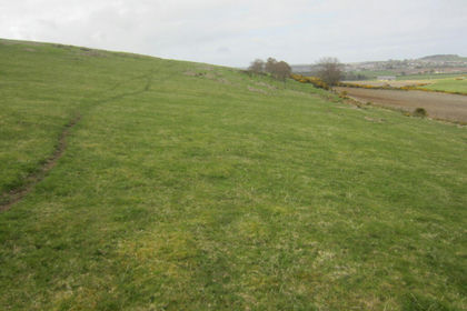 41.3 acres of Agricultural Land for sale in Aberdeenshire North and Moray East