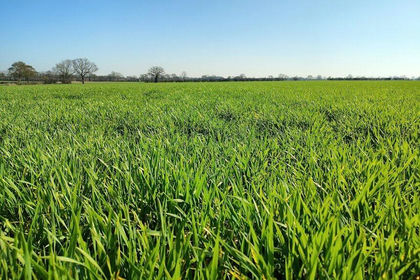 99.8 acres of Agricultural Land for sale in Badwell Ash