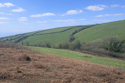 90 acres of Agricultural Land for sale in Kingsbridge