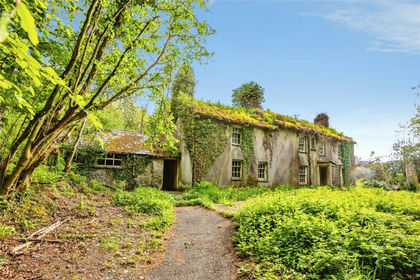 8.5 acres of House with Land for sale in Trawsgoed