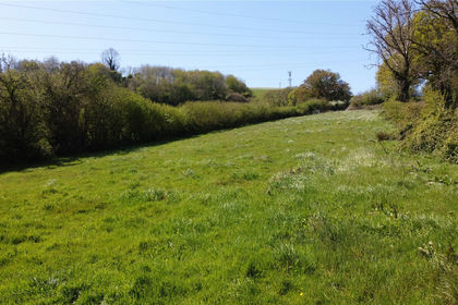 6.9 acres of Undeveloped Land for sale in Ivybridge
