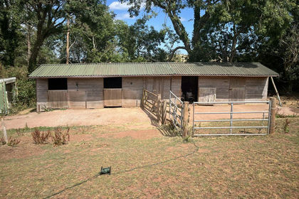 4 acres of Equestrian property for sale in Haccombe with Combe