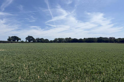 39.6 acres of Arable Land for sale in Barton Turf