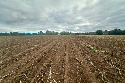 6.2 acres of For sale in Woore