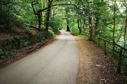 Recreational Land for sale in Horton