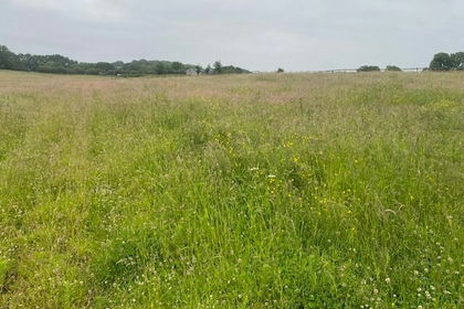 16 acres of Agricultural Land for sale in Warmfield cum Heath