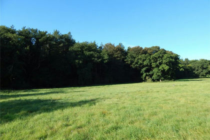 2.9 acres of Recreational Land for sale in Bergh Apton