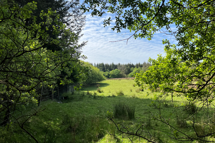 31 acres of Woodland for sale in Lledrod