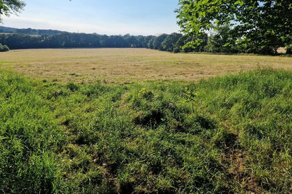 10.7 acres of Farmland for sale in Burwash