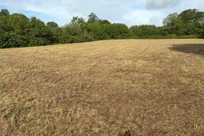 Grazing Land for sale in Wookey