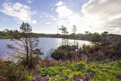 12 acres of Development Land for sale in Mawgan-in-Meneage