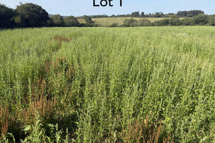 13.2 acres of Undeveloped Land for sale in Crowan