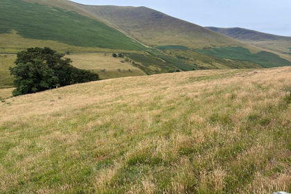 24.2 acres of Pasture for sale in Mungrisdale