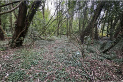 2.5 acres of Land for sale in Tilmanstone