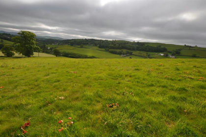 27.3 acres of Agricultural Land for sale in Gwyddelwern