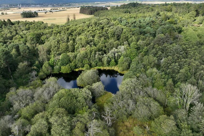 178.9 acres of Timberland for sale in Alloa and Grangemouth