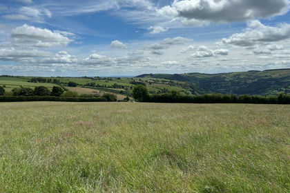 6.8 acres of Land for sale in Llansantffraid Glyn Ceiriog