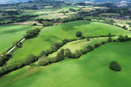 26.5 acres of For sale in Pitcombe