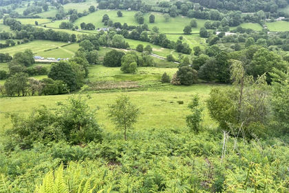 33.7 acres of Agricultural Land for sale in Llangynog