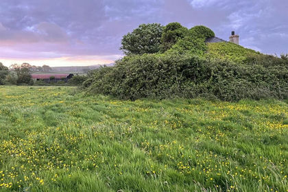 79.7 acres of Derelict property for sale in Llangefni