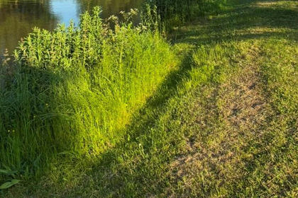 1.9 acres of Fishery for sale in Downholland