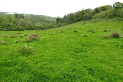 7.6 acres of Pasture for sale in Loddiswell