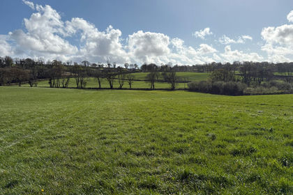 8.2 acres of Grazing Land for sale in Narberth