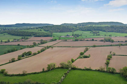 110 acres of Farmland for sale in Broxton