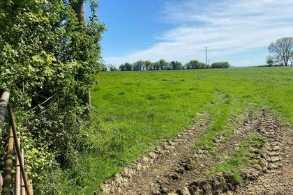 4.7 acres of Pasture for sale in Hinton Blewett