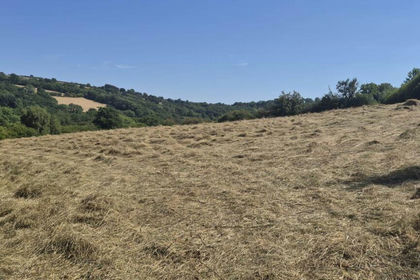 9.4 acres of Agricultural Land for sale in Llangeitho