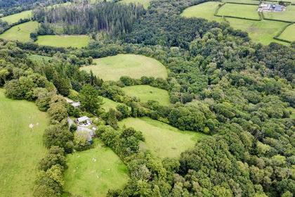 66 acres of Country Estate for sale in Cilymaenllwyd