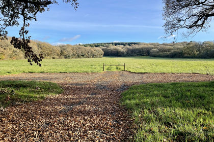 14.5 acres of Undeveloped Land for sale in Ashwater