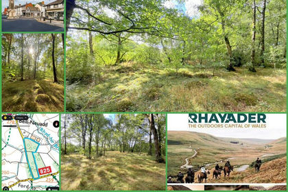 6.7 acres of Woodland for sale in Nantmel