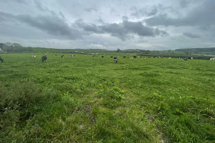 36.2 acres of Agricultural Land for sale in Llanasa