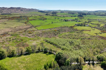 33.2 acres of Woodland for sale in Dumfries and Galloway