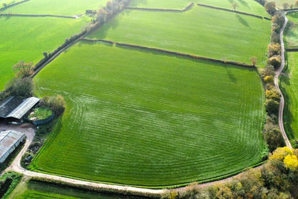 20 acres of Agricultural Land for sale in Staple Fitzpaine