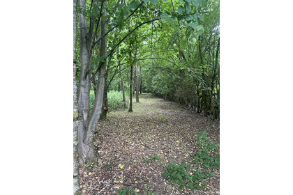 4 acres of For sale in Essex