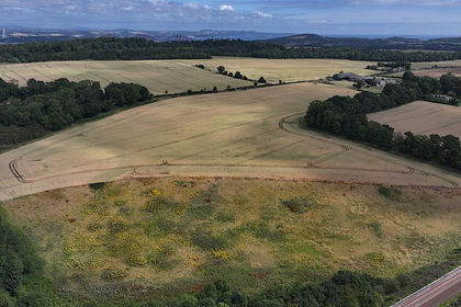 101.6 acres of Farmland for sale in Edinburgh West