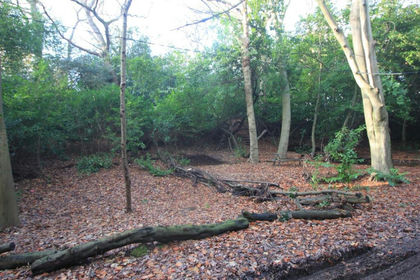 Recreational Land for sale in Hound