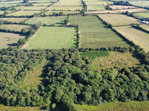 9.4 acres of Wetland for sale in Llandysul