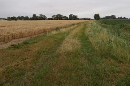 22.6 acres of Farmland for sale in Tydd St. Giles
